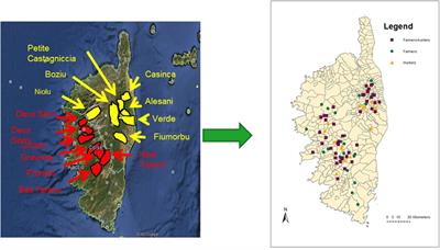 Questionnaire-Based Assessment of Wild Boar/Domestic Pig Interactions and Implications for Disease Risk Management in Corsica